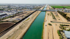 Les agriculteurs du sud de la Californie, inflexibles malgré le déclin du fleuve Colorado