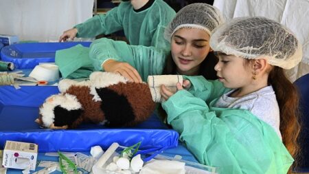 À l’hôpital des nounours, même pas peur des blouses blanches