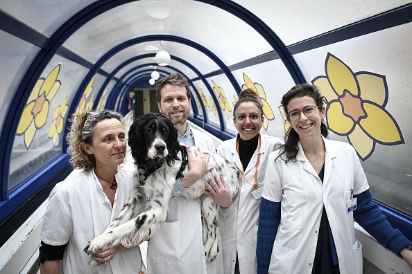 Les infirmiers et leur « collègue de travail », le chien médiateur Snoopy dans le cadre du projet M-Kdog (Médiation-Cancer-Chien) à l'Institut Curie à Paris. (STÉPHANE DE SAKUTIN/AFP via Getty Images)