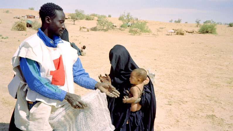 (Photo JEAN-NOEL GILLET/AFP via Getty Images)