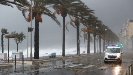 Vents violents dans le sud: des milliers de foyers privés d’électricité et des départs de feu