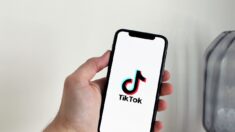 TikTok : piratage de données ou piratage des cerveaux ?