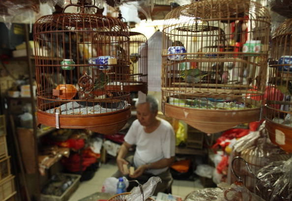 La fréquentation d'un marché aux oiseaux vivants pourrait avoir causé cette contamination. Illustration. (Ed Jones/AFP via Getty Images)