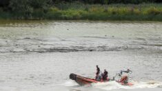 Niort: le corps sans vie du petit Marciano a été découvert sur une berge de la Sèvre