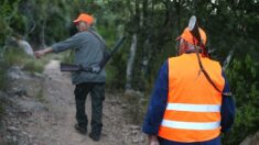 Fin de la chasse le dimanche après-midi dans une commune des Vosges