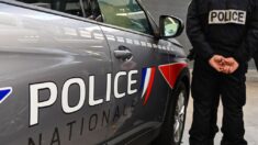 La police alertée pour un mouton en train d’être égorgé dans une maison en rénovation