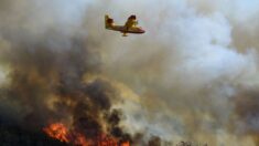 Pyrénées-Orientales: près de 700 ha de végétation parcourus par un incendie