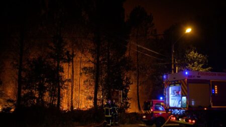 La sécurité civile «mieux préparée» pour affronter les feux de l’été