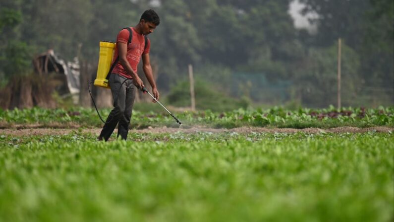 (Photo by MONEY SHARMA/AFP via Getty Images)