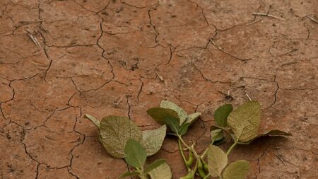 Les maires des Pyrénées-Orientales s’organisent pour économiser l’eau