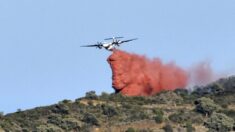 Pyrénées-Orientales : l’incendie qui a parcouru environ 1000 ha n’est pas éteint mais il est maîtrisé