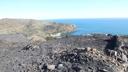 Le premier grand incendie de l’année maîtrisé, 930 hectares parcourus