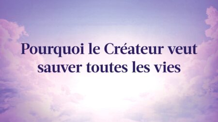 Pourquoi le Créateur veut sauver toutes les vies