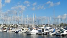 Le Havre: sept bateaux détruits ou endommagés par un incendie au port de plaisance