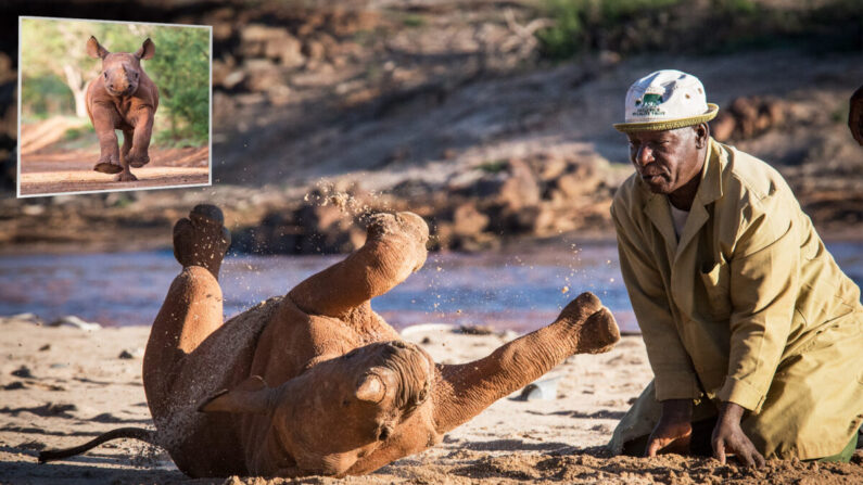 (© Sheldrick Wildlife Trust / Mia Collis)
