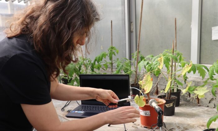 Lilach Hadany, professeur à l'école des sciences végétales et de la sécurité alimentaire de la faculté Wise des sciences de la vie de l'université de Tel-Aviv, sur une photo non datée. (Avec l'aimable autorisation de l'Université de Tel Aviv)