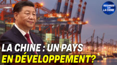 Focus sur la Chine – La Chine : un pays en développement ? – Controverses sur le statut actuel de la Chine communiste