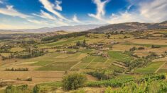 Rhône : un belvédère offre une vue magnifique sur le Beaujolais