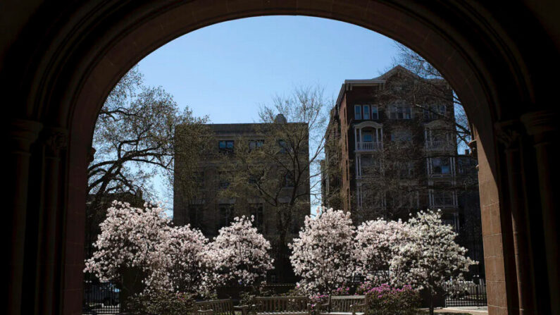 Des arbres fleurissent sur le campus de l'université de Yale à New Haven, dans le Connecticut, le 16 avril 2008. (Christopher Capozziello/Getty Images)