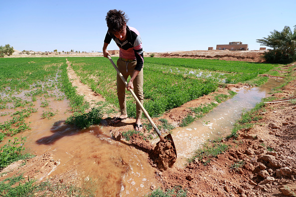 Illustration. (AHMAD AL-RUBAYE/AFP via Getty Images)