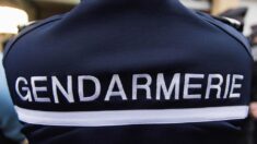 Somme: une quinquagénaire tuée, son fils adolescent en garde à vue