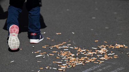 Le tabagisme reste stable en France, avec près d’un tiers de fumeurs