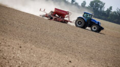 Le Sénat adopte un texte controversé sur la compétitivité agricole