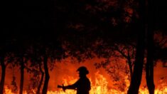 Feux de forêt: l’Assemblée se penche sur la prévention avant un été à haut risque