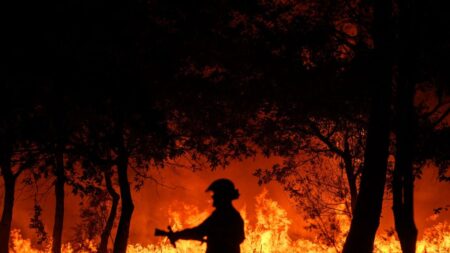 Feux de forêt: l’Assemblée se penche sur la prévention avant un été à haut risque