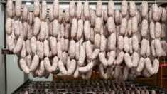 Pourquoi les nitrites dans la charcuterie augmentent le risque de cancer colorectal