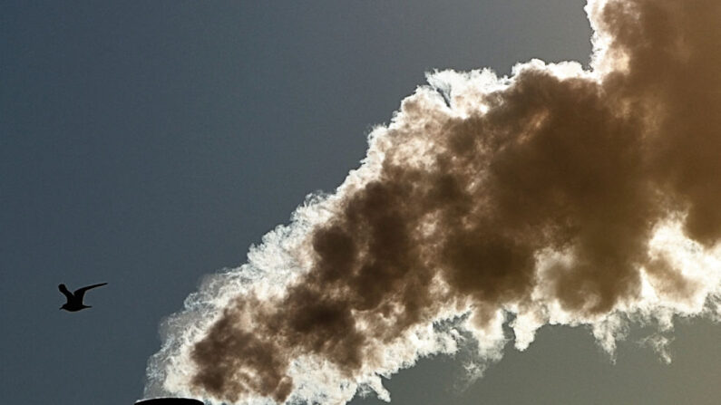 (Photo PHILIPPE HUGUEN/AFP via Getty Images)