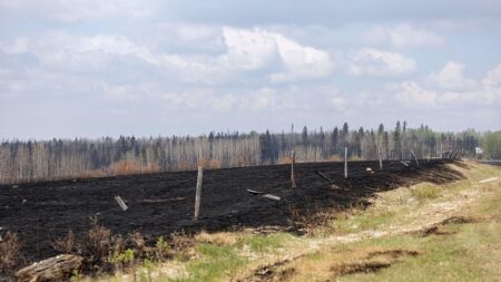 Léger répit sur le front des feux dans l’Ouest canadien avant des journées à haut risque