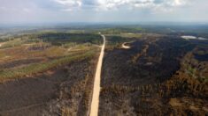 Canada: appel à l’aide internationale pour lutter contre l’extension très préoccupante des incendies