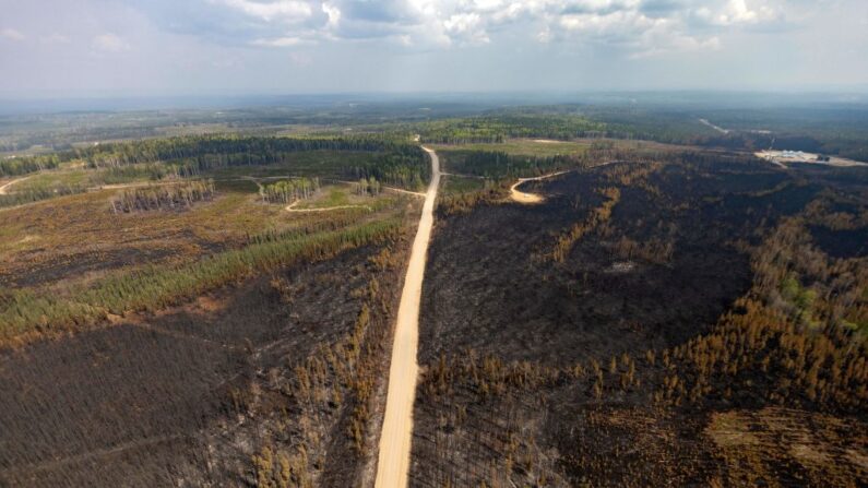 Quelque 2500 pompiers venus de tout le Canada et 400 militaires ont été déployés dans la province pour tenter de maîtriser les feux. (Photo MEGAN ALBU/AFP via Getty Images)