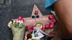 Tina Turner, légende du rock, est morte à 83 ans