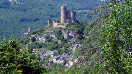 «Même un bricoleur du dimanche fait mieux»: indignation face à la rénovation du pont de Najac, datant du 13e siècle