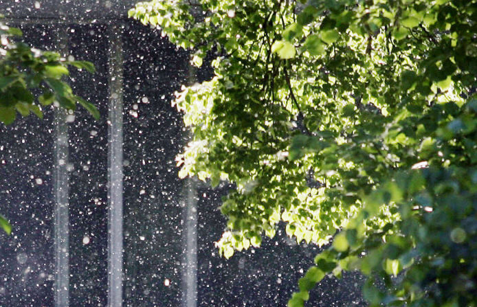 Les émissions de pollen s'étendent en général de janvier à octobre. (Photo NATALIA KOLESNIKOVA/AFP via Getty Images)