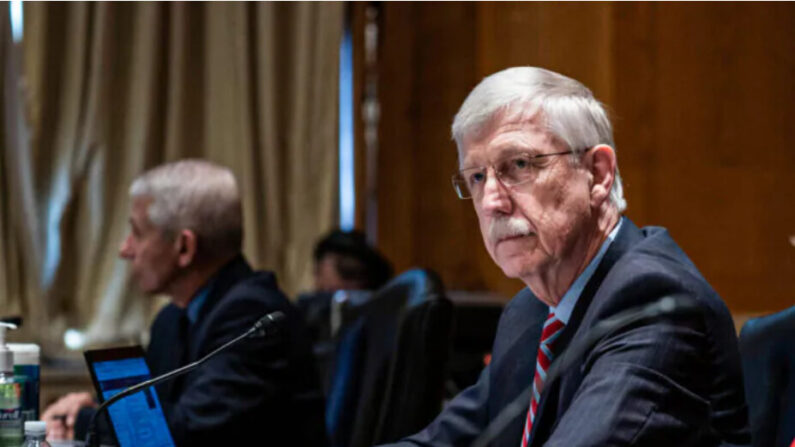 Le Dr Francis Collins, alors directeur du NIH, à l'audition de la sous-commission du Sénat sur les crédits pour le travail, la santé et les services sociaux, examinant les prévisions budgétaires des National Institute of Health (NIH) et l'état de la recherche médicale, au Capitole, à Washington, le 26 mai 2021. (Sarah Silbiger/Pool/Getty Images)