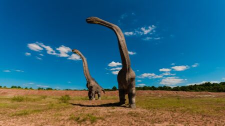 Portugal: un homme découvre un immense squelette de dinosaure dans son jardin