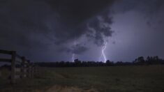 Orages : 24 départements en vigilance orange dans la moitié est