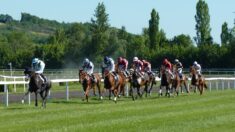 Morbihan: un cheval s’emballe et fonce sur un spectateur lors d’une course hippique