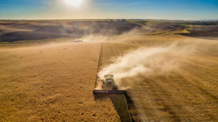 Bataille au cœur de l’Amérique profonde – comment les terres agricoles américaines tombent discrètement aux mains des Chinois