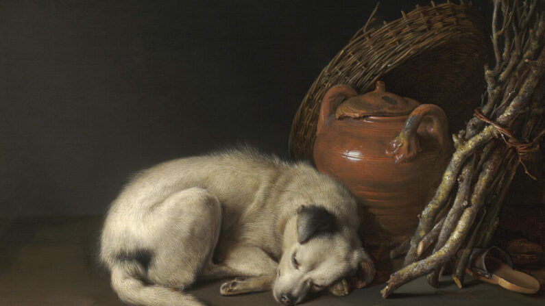 Détail de "Chien endormi", 1650, par Gerrit Dou. Musée des beaux-arts de Boston. (Domaine public)