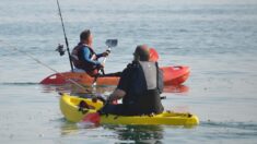 Hawaï: un pêcheur en kayak attaqué par erreur par un requin (vidéo)