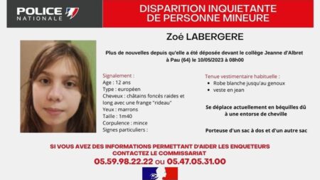 Un appel à témoins lancé après la disparition d’une fille de 12 ans à Pau dans les Pyrénées-Atlantiques