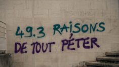 Comment le travail de l’Assemblée nationale s’est invité dans le quotidien