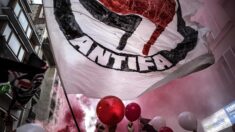 «Antifas», des petits groupes redynamisés par la montée de l’ultradroite