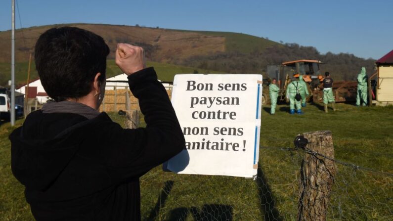 « On est ici parce que l'État a failli, les crises se succèdent, on a les mêmes causes pour les mêmes effets » a dénoncé Sylvie Colas secrétaire nationale de la Confédération paysanne. (Photo GAIZKA IROZ/AFP via Getty Images)