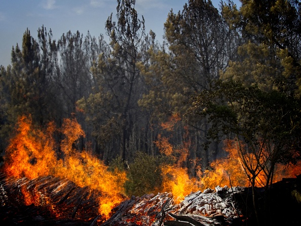 Illustration. (GUILLAUME SOUVANT/AFP via Getty Images)