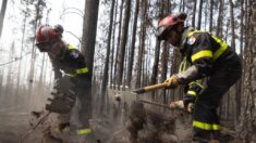 Les prières en faveur de la pluie pour éteindre les incendies de forêt ont été exaucées en Alberta, mais les inondations ont suivi